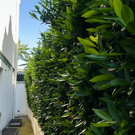 Resident Nota ベッド・アンド・ブレックファスト