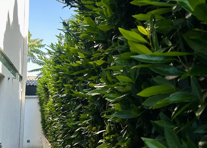 Resident Nota Bed & Breakfast