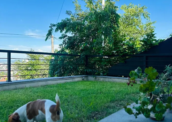 Resident Nota Bed & Breakfast 3*